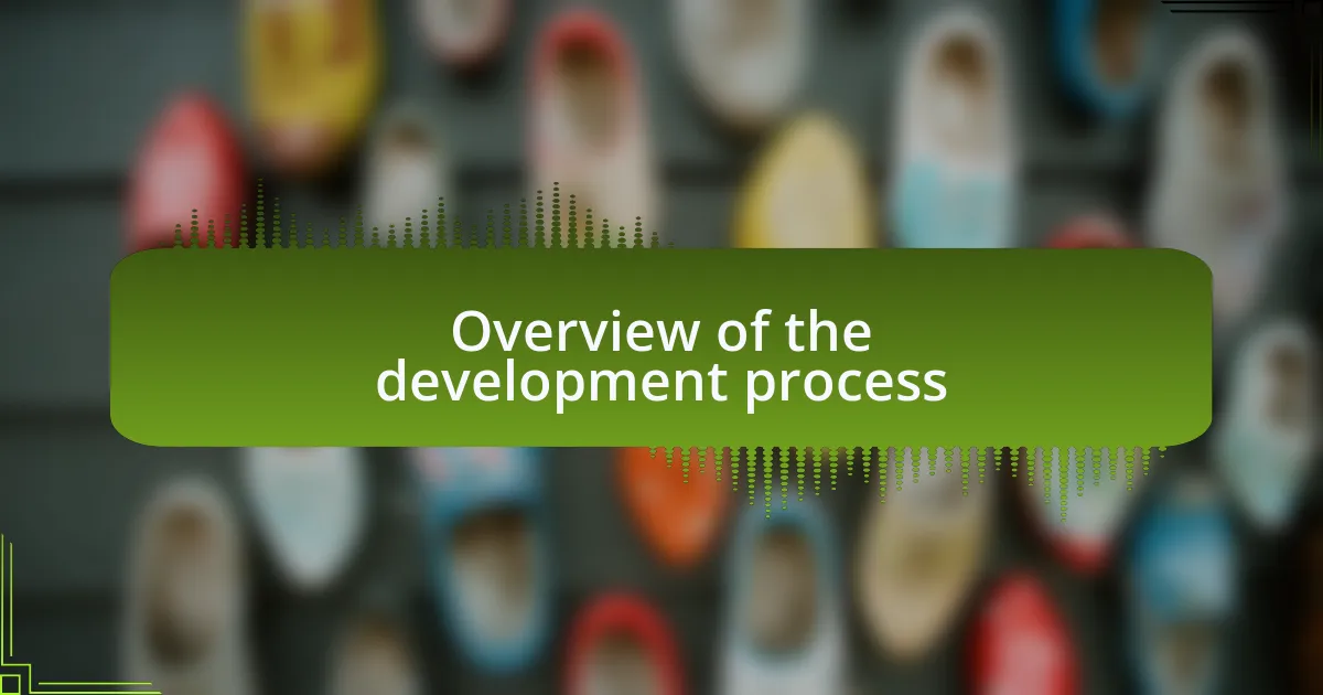 Overview of the development process